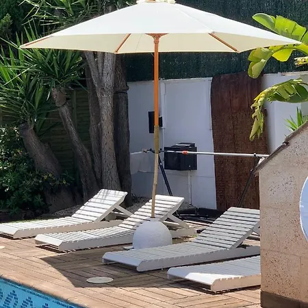 Paradisiac Villa In The City *